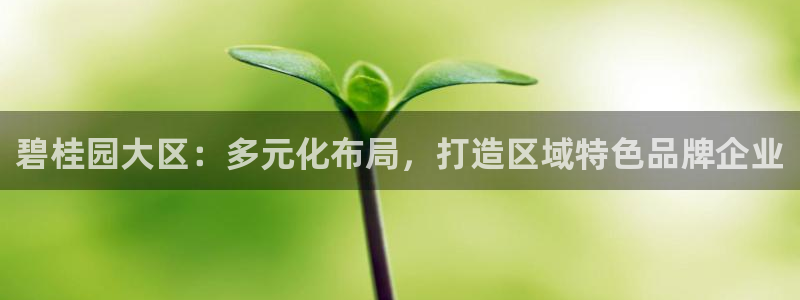 万向娱乐总代