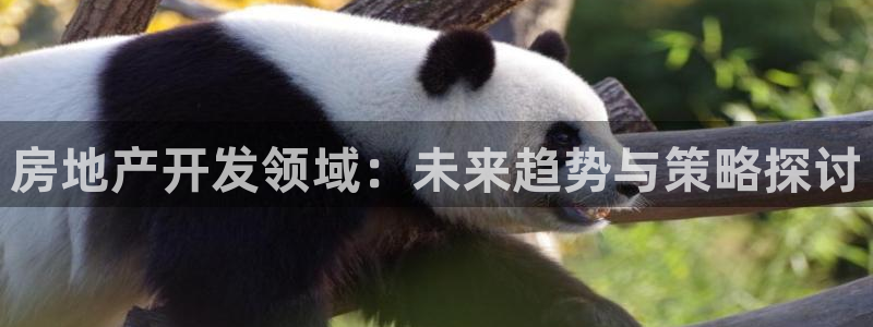 万向娱乐灯333OO