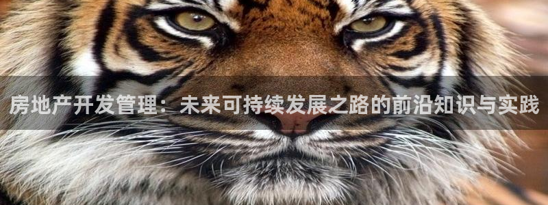 万向娱乐平台怎么下载