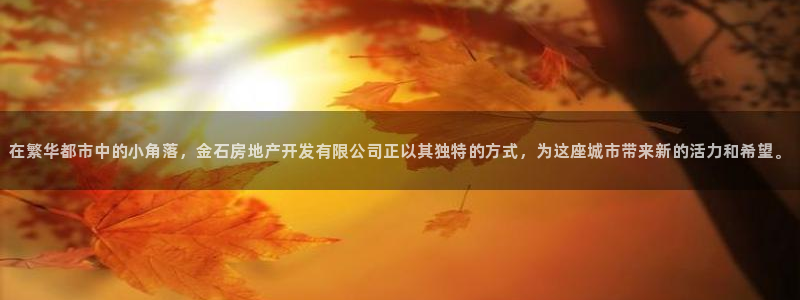 万向娱乐公司 585.34I 娱乐