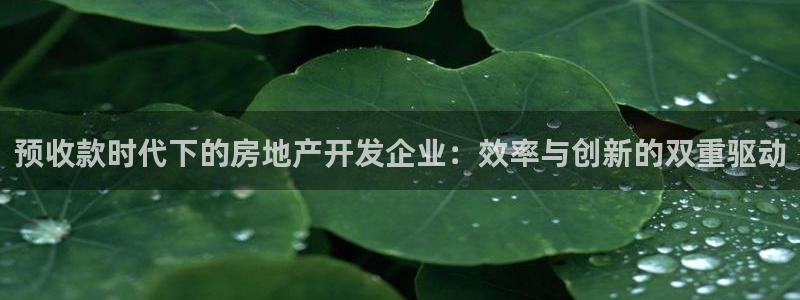 万向娱乐挂机