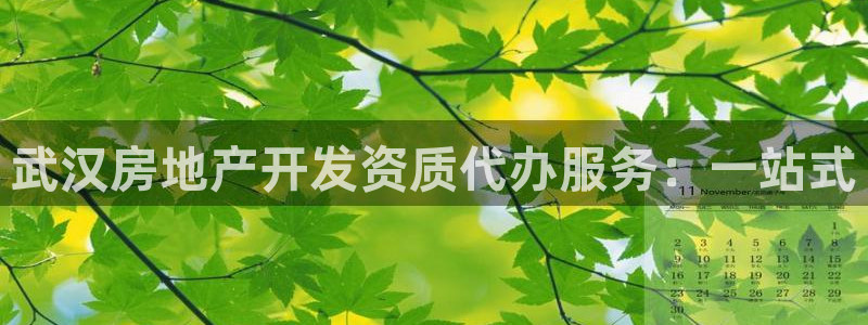 万向娱乐app下载官网