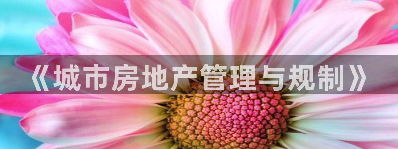 万向娱乐是野鸡台吗