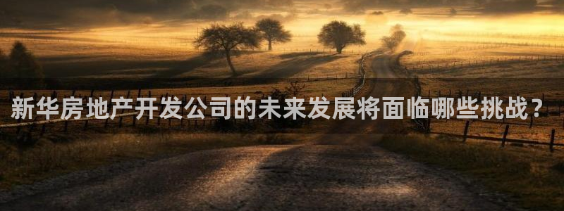 万向娱乐挂机
