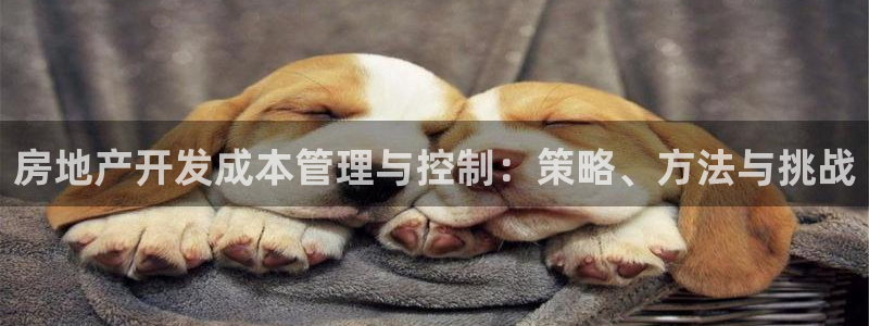 万向娱乐挂机软件