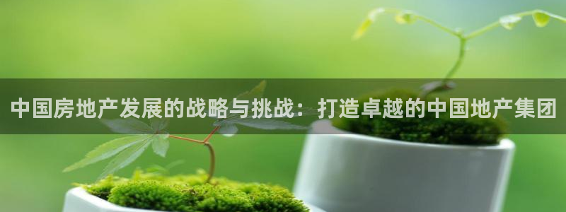 万向娱乐平台代理多少钱一个月